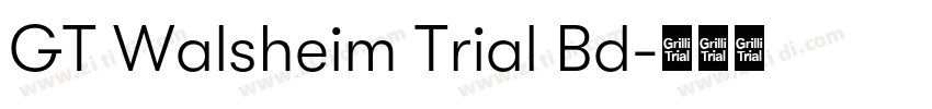 GT Walsheim Trial Bd字体转换